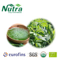 Polvo de jugo de alfalfa orgánico verde natural puro